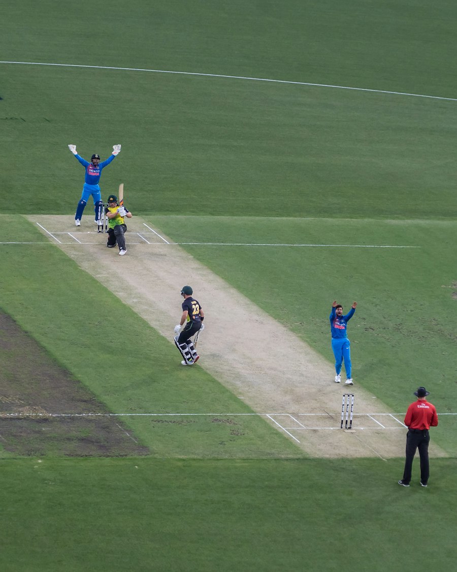 Players contesting a wicket